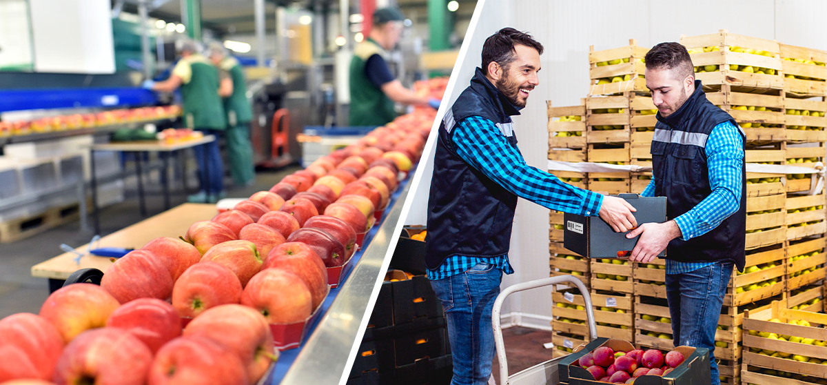 How RFID and Barcode Verification Technology Improve Your Food and Beverage Tracking