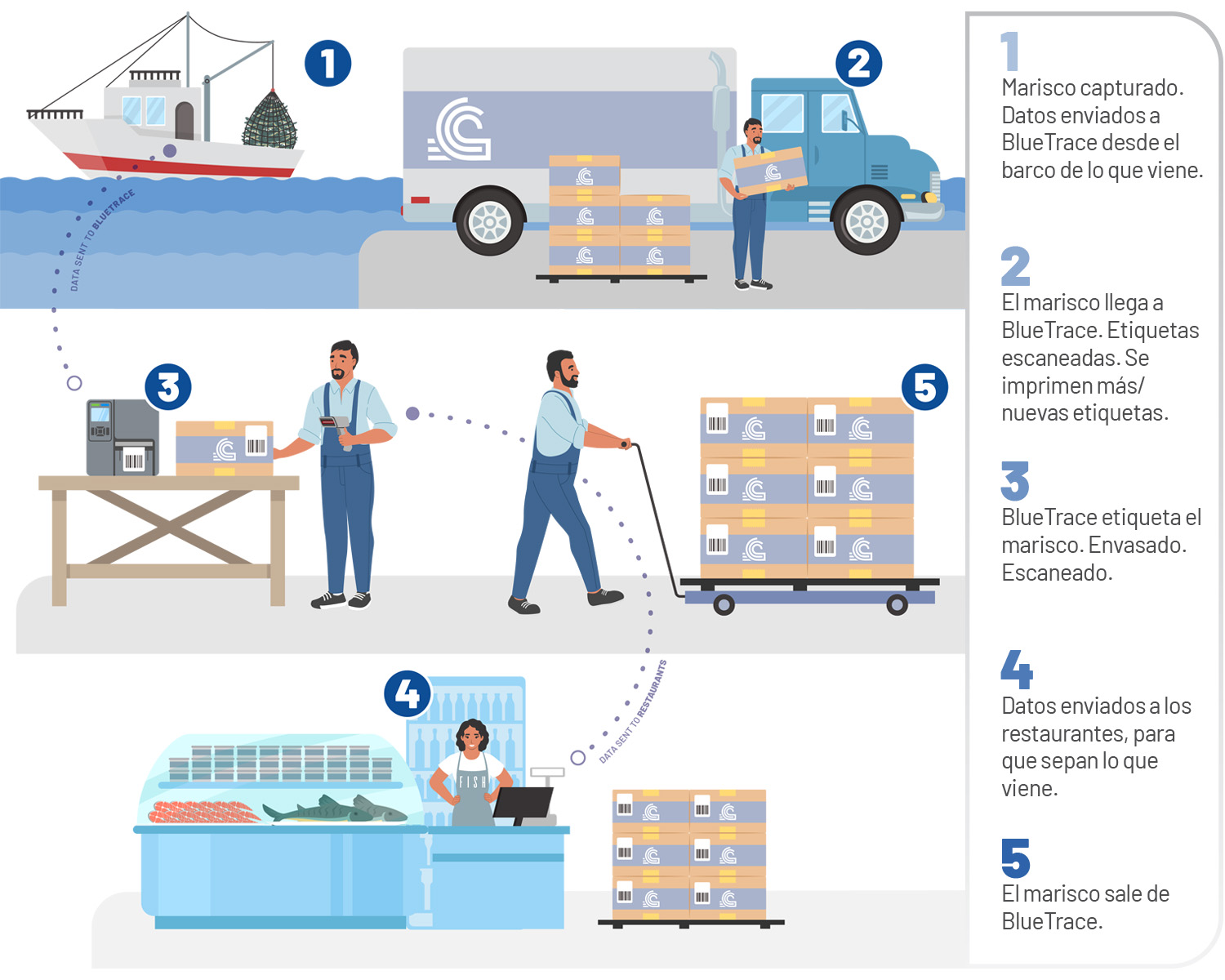 Figura 1: Proceso de los envíos BlueTrace desde que se pescan frescos hasta que se entregan en el restaurante. 