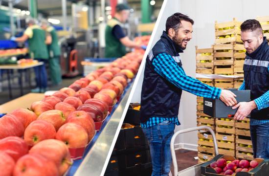 How RFID and Barcode Verification Technology Improve Your Food and Beverage Tracking