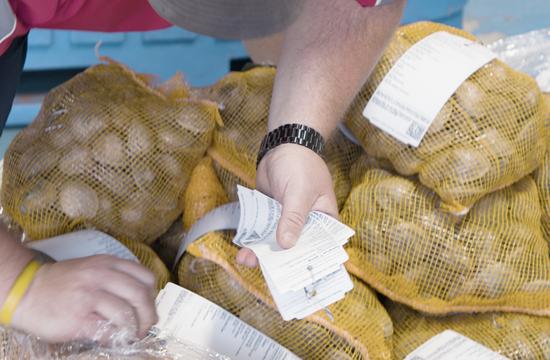 Soluções de rotulagem de frutos do mar: Como a BlueTrace otimizou a eficiência e a conformidade regulatória